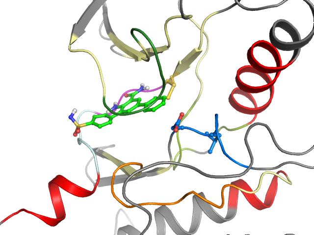 The orthosteric binding pocket
