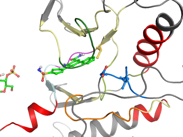 The orthosteric binding pocket