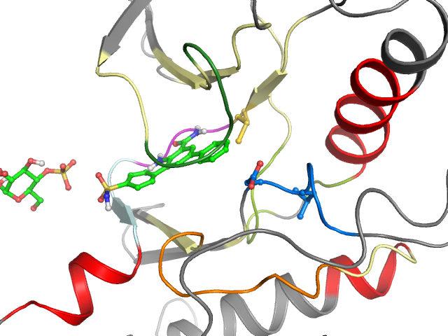 The orthosteric binding pocket