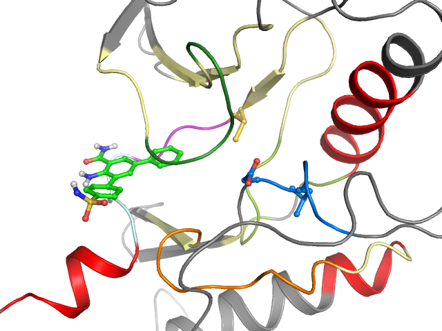 The orthosteric binding pocket
