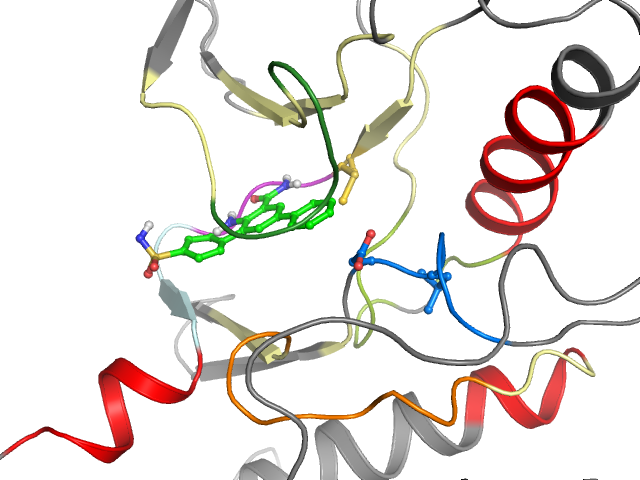 The orthosteric binding pocket