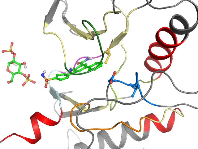 The orthosteric binding pocket
