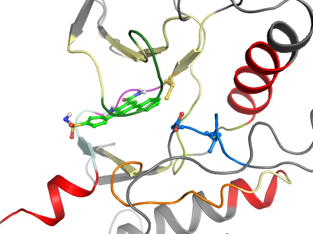 The orthosteric binding pocket