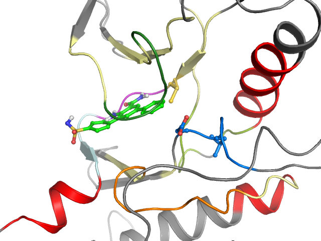 The orthosteric binding pocket