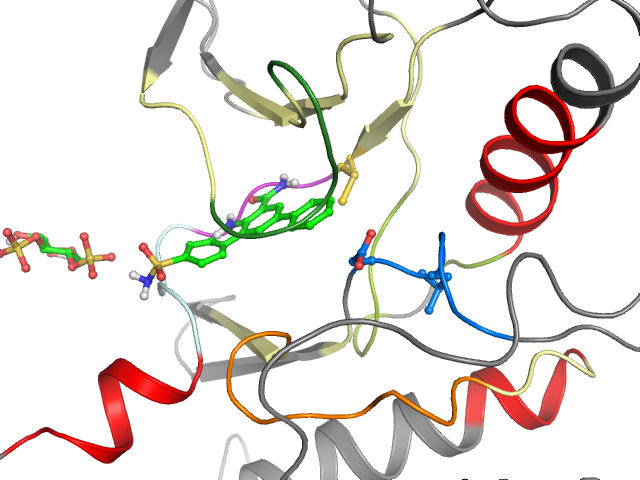 The orthosteric binding pocket