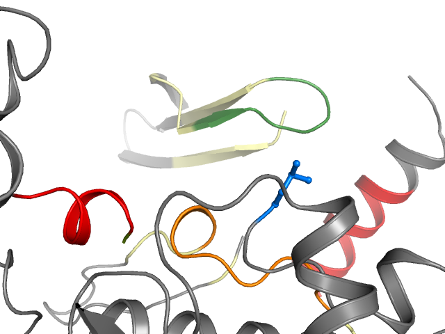 The orthosteric binding pocket