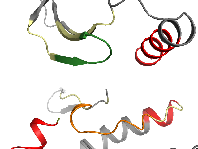 The orthosteric binding pocket