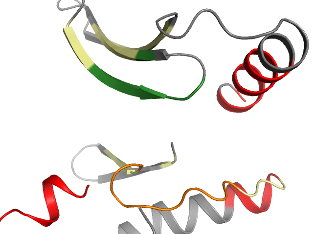 The orthosteric binding pocket