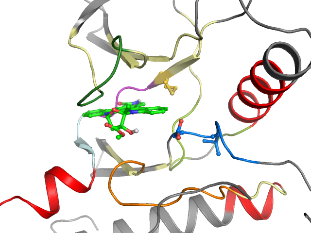 The orthosteric binding pocket