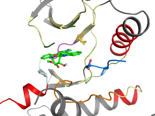 The orthosteric binding pocket