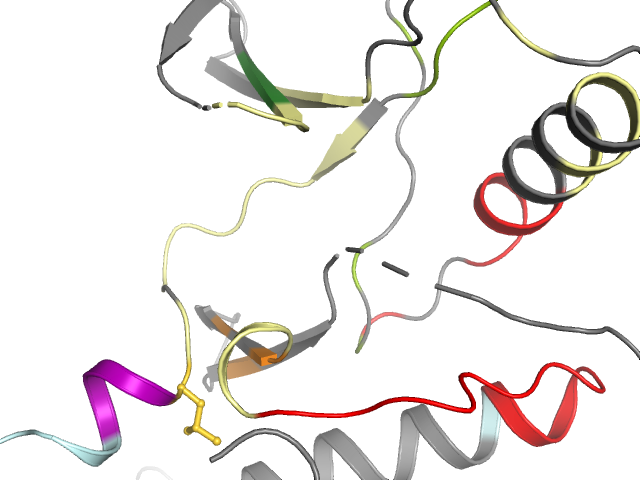 The orthosteric binding pocket
