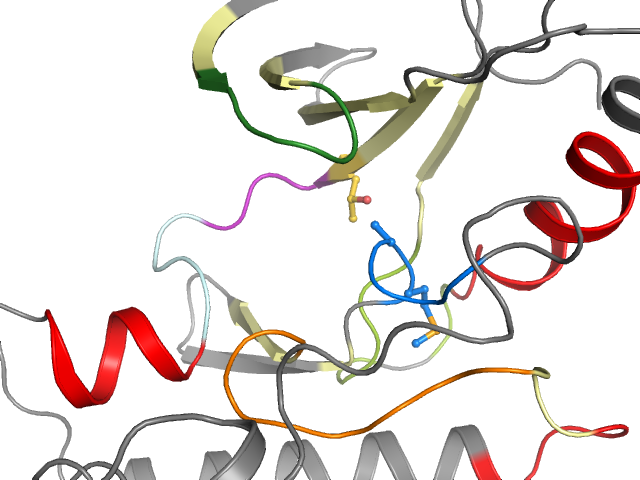 The orthosteric binding pocket