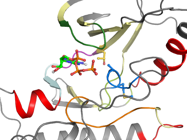 The orthosteric binding pocket