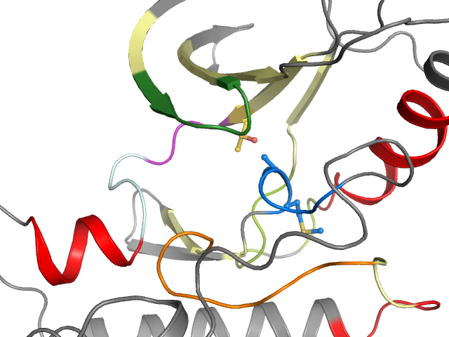 The orthosteric binding pocket