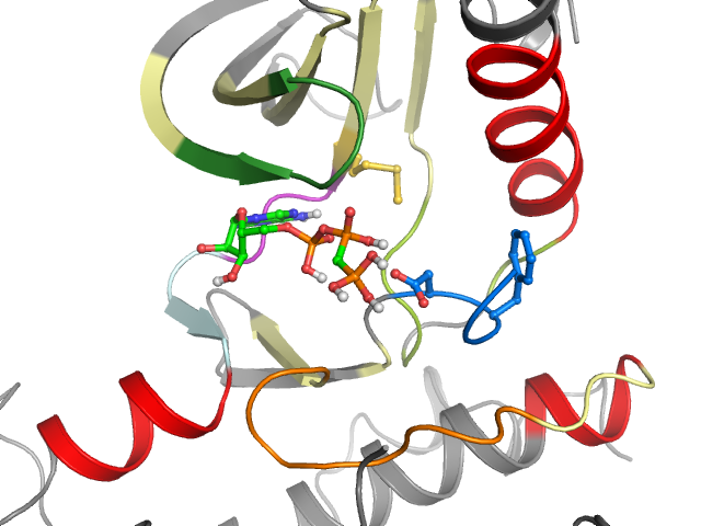 The orthosteric binding pocket
