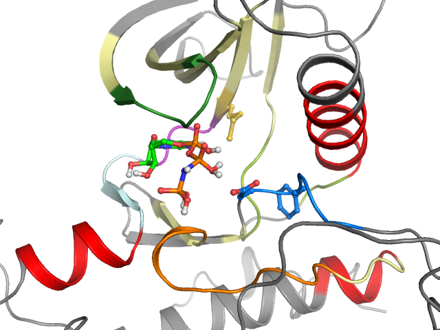 The orthosteric binding pocket