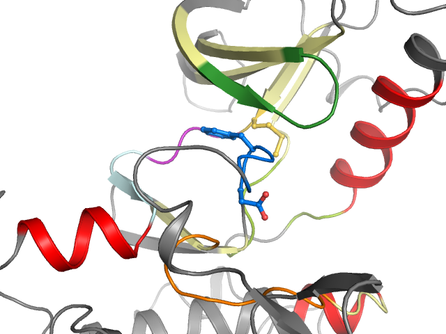 The orthosteric binding pocket