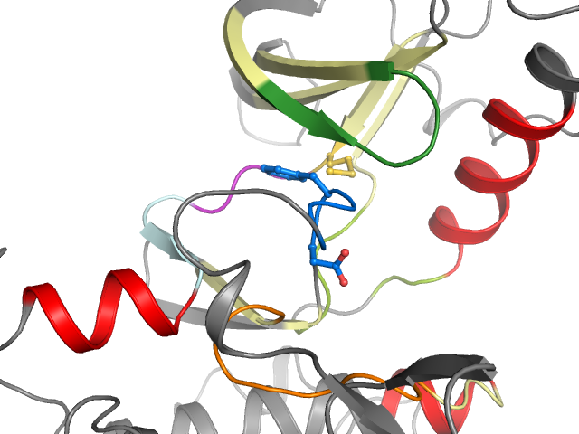 The orthosteric binding pocket