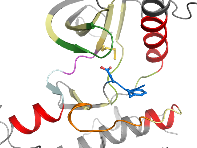 The orthosteric binding pocket
