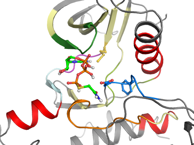 The orthosteric binding pocket