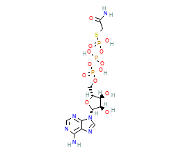 2D structure of the orthosteric ligand