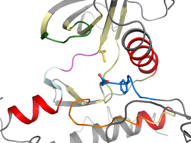 The orthosteric binding pocket