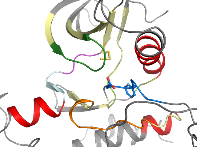 The orthosteric binding pocket