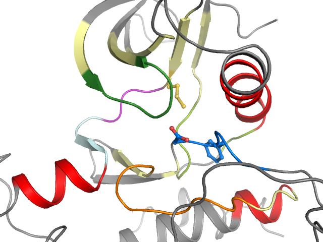 The orthosteric binding pocket