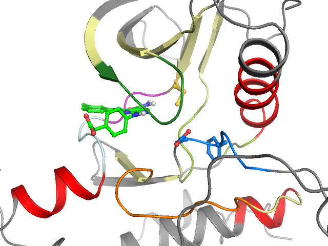 The orthosteric binding pocket