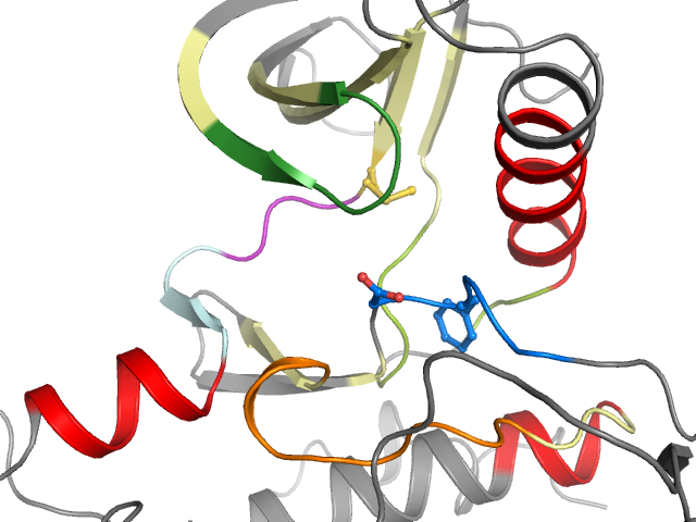 The orthosteric binding pocket