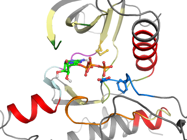 The orthosteric binding pocket