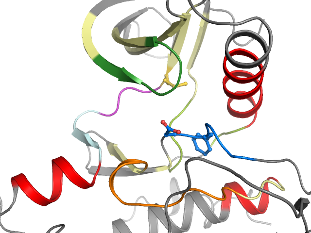 The orthosteric binding pocket