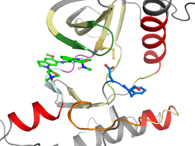 The orthosteric binding pocket
