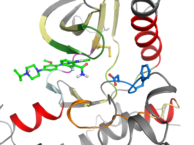 The orthosteric binding pocket