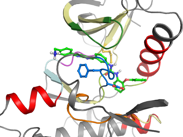 The orthosteric binding pocket