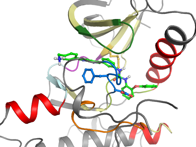 The orthosteric binding pocket