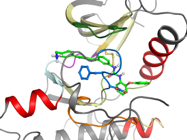 The orthosteric binding pocket