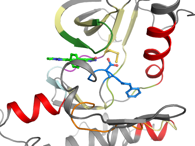 The orthosteric binding pocket