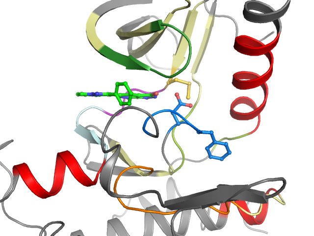 The orthosteric binding pocket