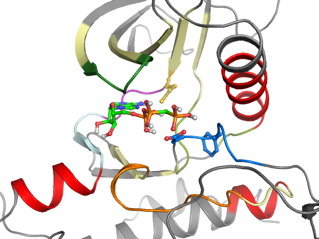 The orthosteric binding pocket