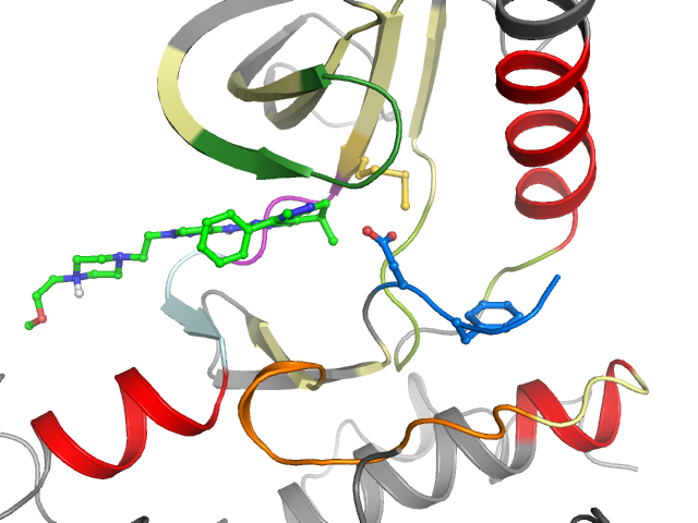 The orthosteric binding pocket