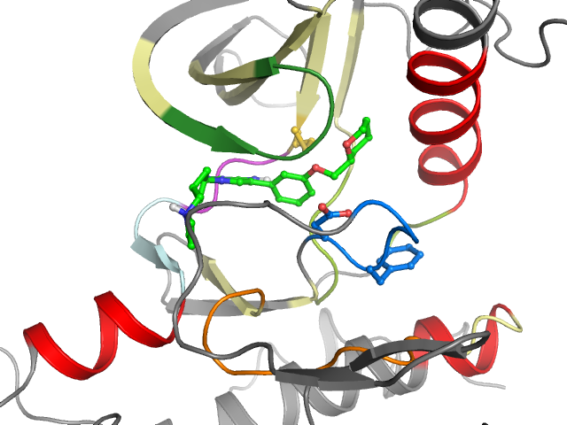 The orthosteric binding pocket