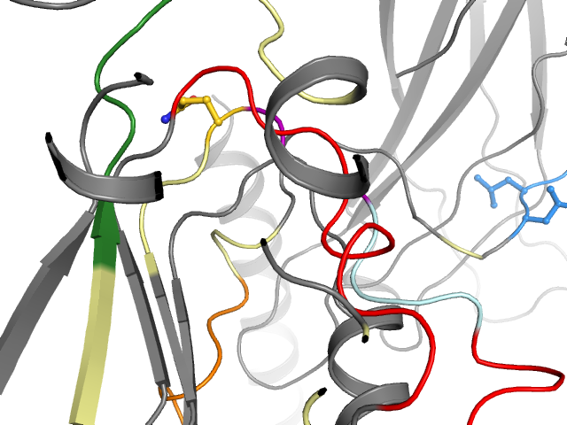 The orthosteric binding pocket