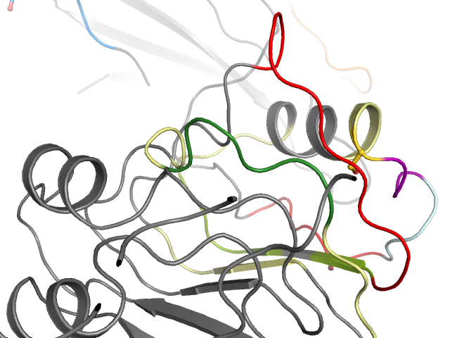 The orthosteric binding pocket