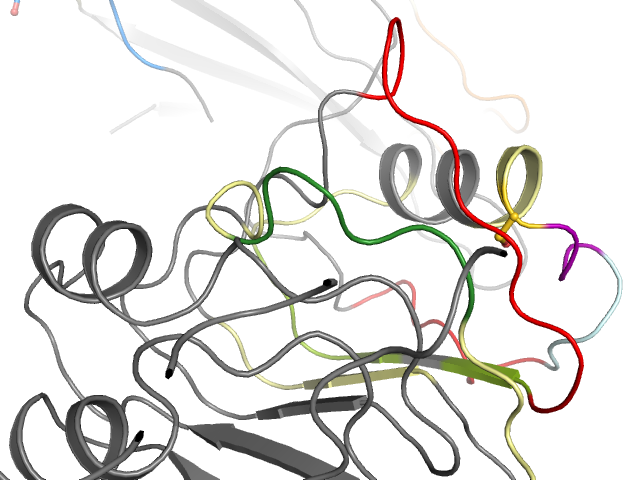 The orthosteric binding pocket