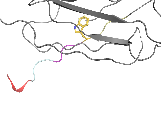 The orthosteric binding pocket