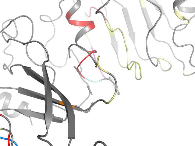 The orthosteric binding pocket
