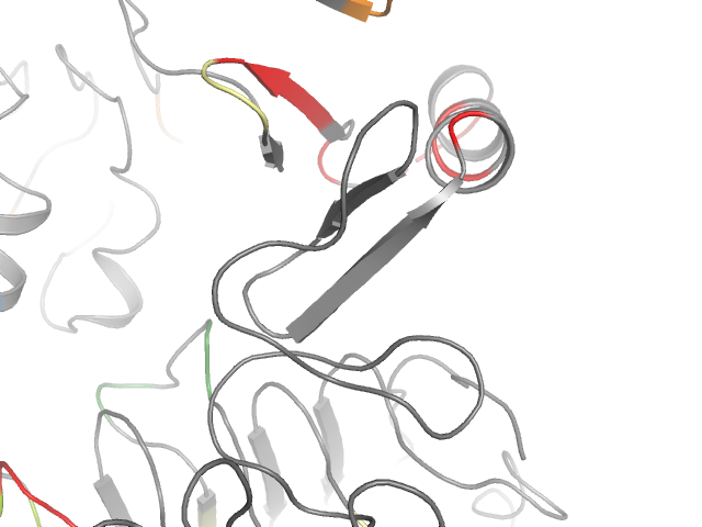 The orthosteric binding pocket