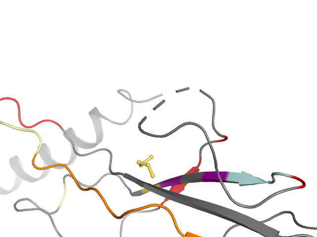 The orthosteric binding pocket