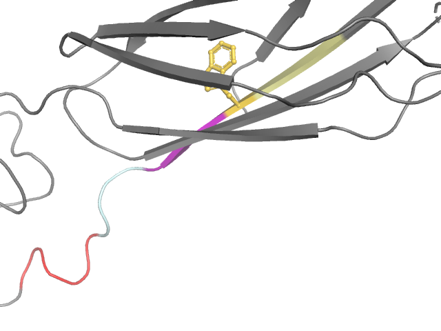 The orthosteric binding pocket